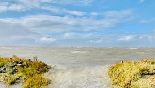 Deichoase Strandhaus - Photo 4