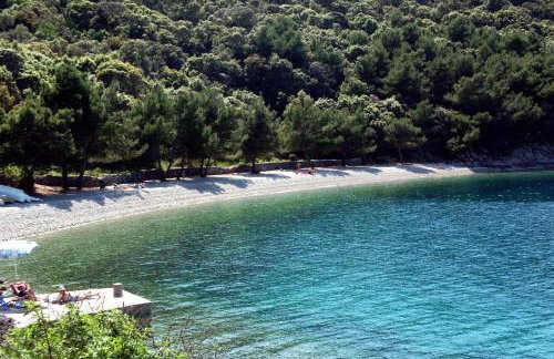 Apartments by the sea Valun, Cres - 386 - Foto 4