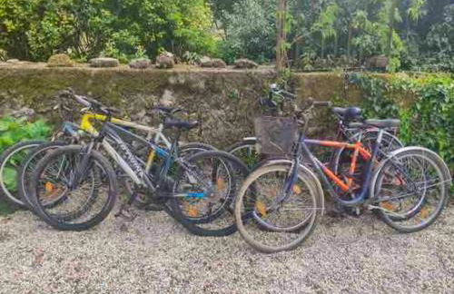 Maison accueillante à Bléré avec cheminée et terrasse - Foto 27