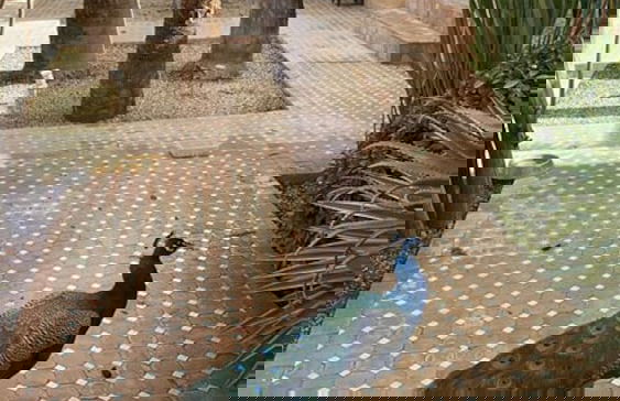 Marrakesh 6-bed Housing Authentic Berber - Foto 32