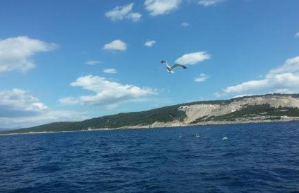 Holiday Home Perlica - Foto 50