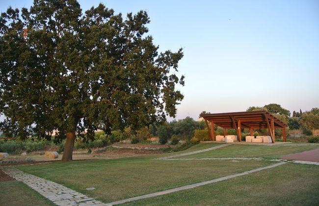 Trulli Paparale - Foto 38