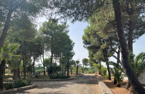 Casette Masseria La Camardia - Foto 59