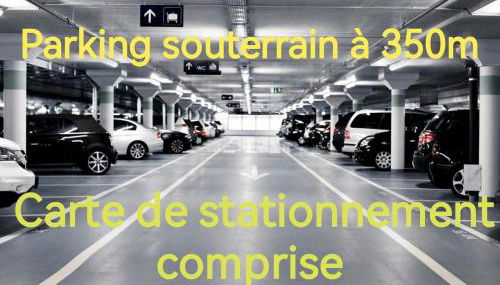 Grand appartement de haut standing en centre-ville - Foto 3