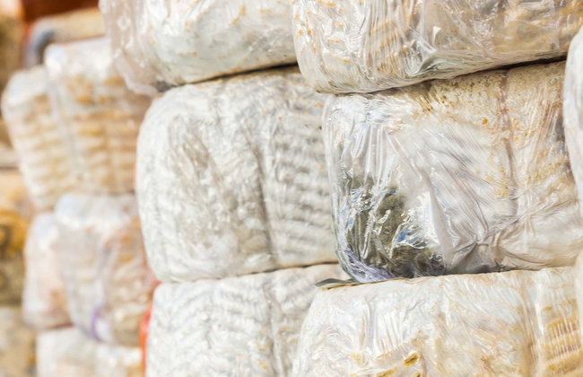 Visita a una quesería + Taller de queso de cabra - Foto 1