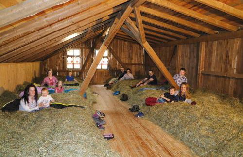 Ferienhof Fischer - Foto 29