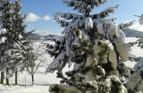 Ponyhof Adam Urlaub auf dem Bauernhof - Foto 29