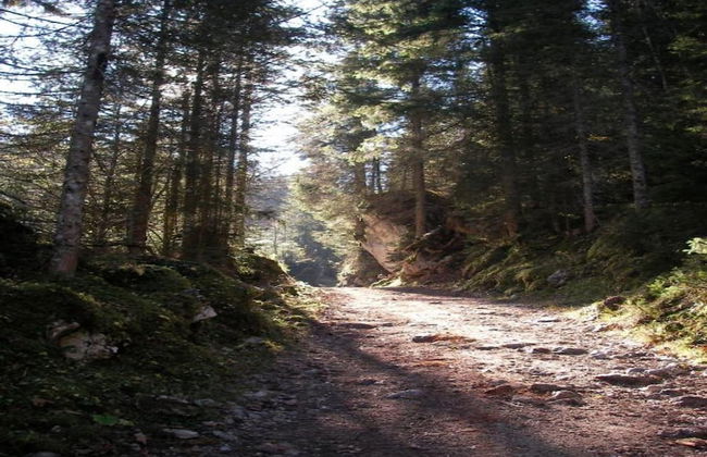 Farmhouse Near Oberammergau - Foto 40