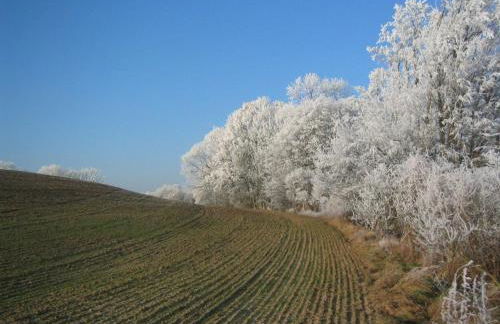 Hollerhof - Urwüchsiges Paradies - Kreativurlaub - Foto 29