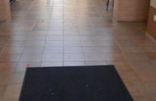 Olivar de Gines a un paso de Sevilla - Foto 48