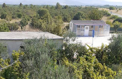 Apartments with swimming pool Pakovo Selo, Zagora - 24486 - Foto 2