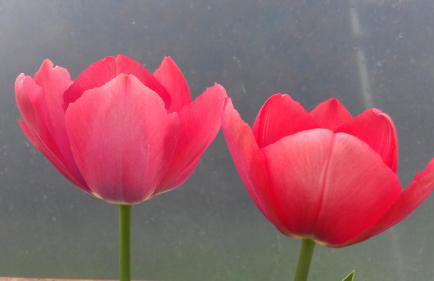 CAMPO DE SOBARBO - Guest House rural - Foto 51