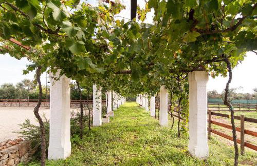 Tenuta Aphrodite - Foto 9