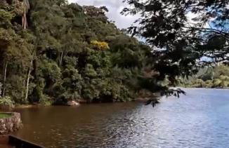 Chalé Banho de Floresta Atibaia Clube de Montanha - Foto 54