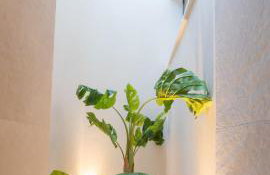 Vouros Villages - Villa - Photo 12