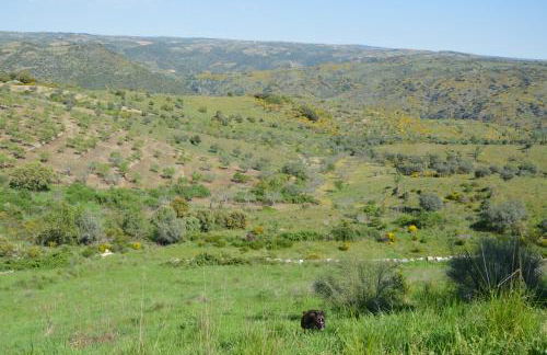 Casa Rural el Meson - Photo 8