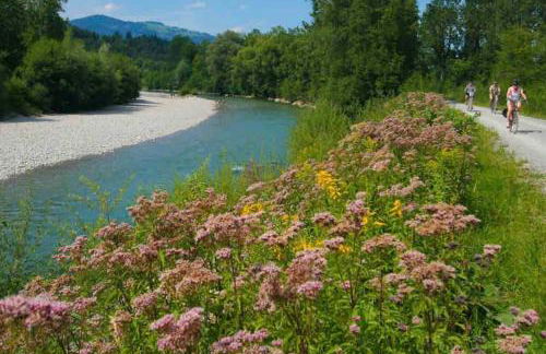 Sonnenschein Chalet - Foto 21