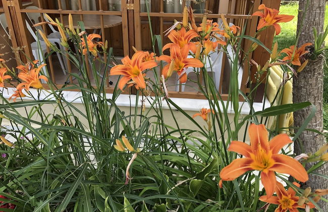 Nar Apart Hotel - Foto 18