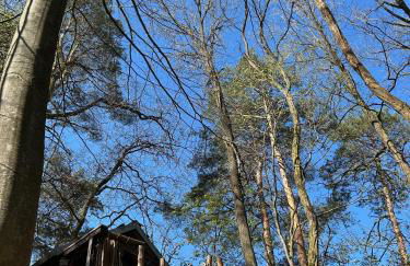 Waldfloß Biberspur - Foto 9