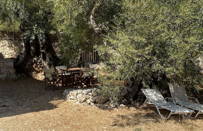 Villa Fioro - Photo 18