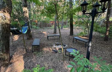 Leśna Chata Arciechów - Foto 24