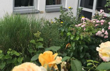 Ernst-Ludwig-Promenade - Foto 10