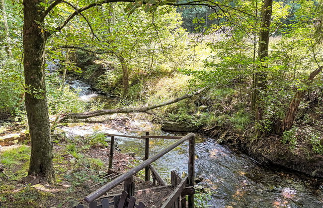 Altes Forsthaus Sösetal - Foto 27