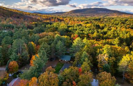 The Bear's Den - Foto 9