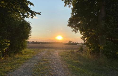 Gut Koselau Landhaus II - Foto 26