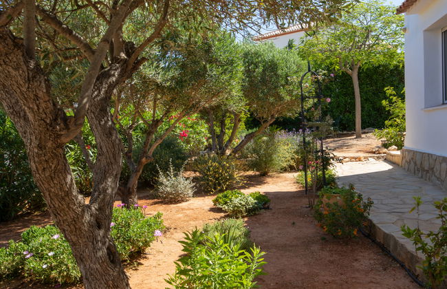 Los Buhitos - Foto 39