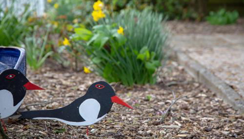 Vogelhus Yvonne Vogel - Foto 4