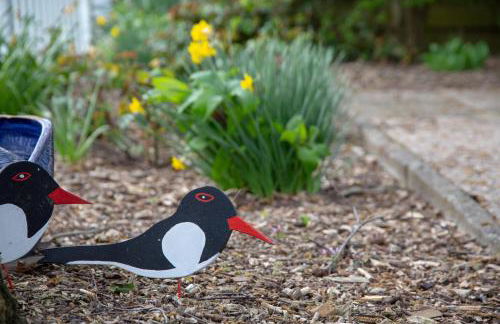 Vogelhus Yvonne Vogel - Foto 4