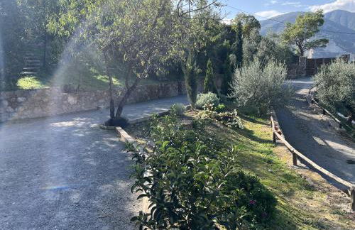 Olive Guest Farm - Foto 70