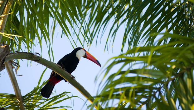 Lagoinha do Leste Natural Park Hiking Route - Foto 5