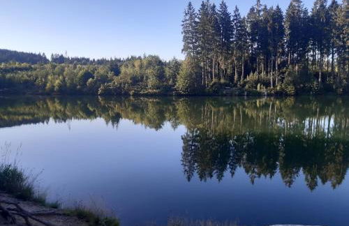 Harz-Forest-Inn - Foto 22