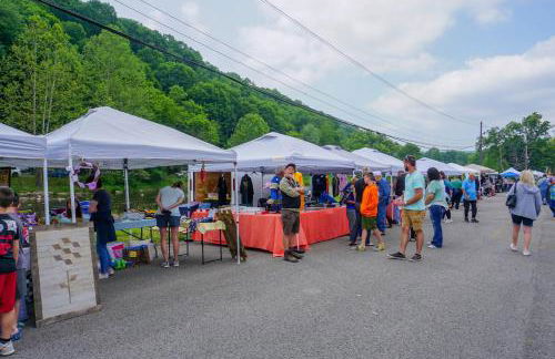 5 Br: Historic Glaab House in Cass, with AC, Amazing Kitchen, Covered Porches, Historical Landmark - Foto 55