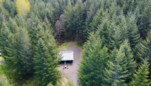 Enchanting Private Forest Retreat near Mt Rainier - Foto 4