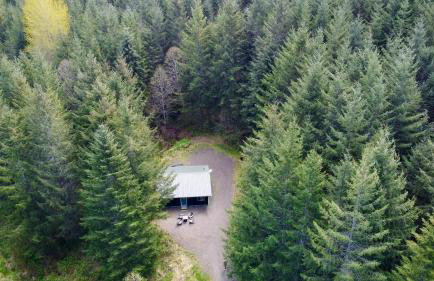 Enchanting Private Forest Retreat near Mt Rainier - Foto 4