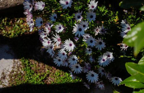 Casa Floriana - Foto 65