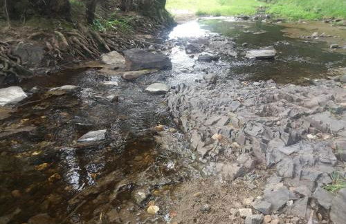 Refúgio d' Aldeia - Foto 34