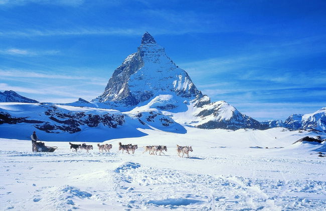 Glacier Views & Ski Trails - Photo 49