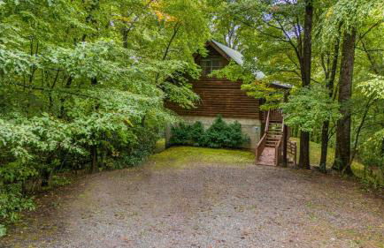 Red Wolf by Carolina Mornings - Foto 39