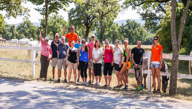 Skocjan Caves, Piran and Predjama Castle - Full-Day Tour - Photo 2