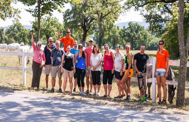 Skocjan Caves, Piran and Predjama Castle - Full-Day Tour - Photo 2