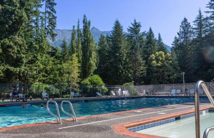 Snowline Hillside Chalet - Photo 7