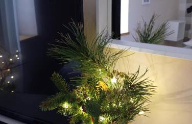 Przytulne Studio Borówkowy Zagajnik - Foto 7