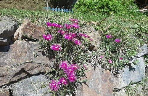 Gîte la petite maison - Foto 13