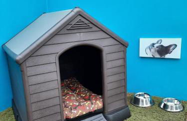 Casa Vulcania - Foto 5