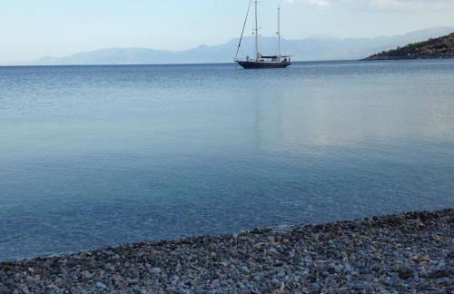 Oasis Studios AG PANTES - Photo 27