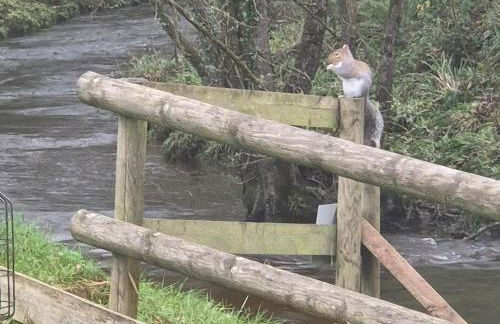 The Old Mill Annexe - Foto 60